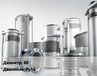Компенсатор 80 Ру16